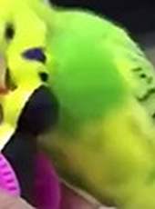 萌次元最新一期線上看_全集完整版高清線上看_好看的綜藝