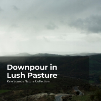 Downpour in Lush Pasture