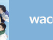 wacci圖片照片