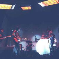 The Polar Dream圖片照片_The Polar Dream