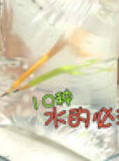 玩瘋了方大手不吃魚最新一期線上看_全集完整版高清線上看_好看的綜藝