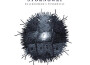 Beachcomber's Windowsill (Explicit)專輯_StornowayBeachcomber's Windowsill (Explicit)最新專輯