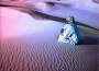 Blue Bedouin專輯_Blue BedouinBlue Bedouin最新專輯