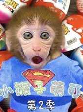 小猴子萌可第2季動漫全集線上看_卡通片全集高清線上看_好看的動漫