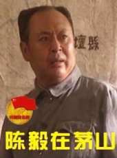 陳毅在茅山線上看_高清完整版線上看 - 蟲蟲電影