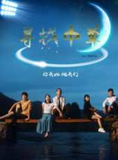 林夕演過的電影電視劇線上看_影視作品大全_好看的明星
