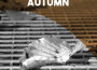 Classical: Autumn專輯_Boston Symphony OrchClassical: Autumn最新專輯