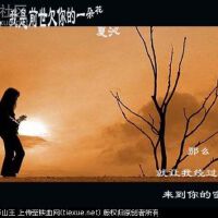 獨飛圖片照片_獨飛