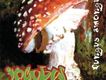 Fungus Amongus
