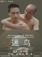 最新2012文藝電影_2012文藝電影大全/排行榜_好看的電影