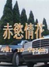 惠天賜最新電影_惠天賜電影全集線上看_好看的電影