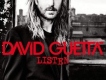 I Wanna Go Crazy (8月份極品電音DJ)歌詞_David GuettaI Wanna Go Crazy (8月份極品電音DJ)歌詞