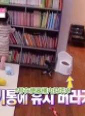 Oh My Baby最新一期線上看_全集完整版高清線上看_好看的綜藝