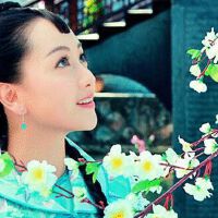 情定三生圖片照片_情定三生