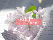 雪無影歌曲歌詞大全_雪無影最新歌曲歌詞