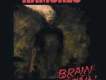 BRAIN DRAIN