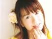 野川さくら歌曲歌詞大全_野川さくら最新歌曲歌詞
