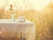 純音樂圖片照片_純音樂