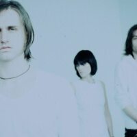 Dead Leaf Echo圖片照片_Dead Leaf Echo