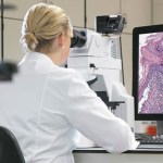 Pathology圖片照片