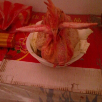 侯小培最新專輯_新專輯大全_專輯列表