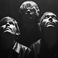 The Vera Violets圖片照片_The Vera Violets