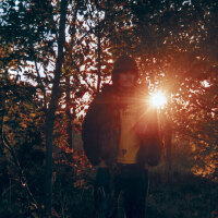 Bibio圖片照片_Bibio