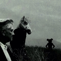 sparklehorse圖片照片_sparklehorse
