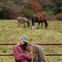 brent ii (Explicit)專輯_Chelsea Cutlerbrent ii (Explicit)最新專輯