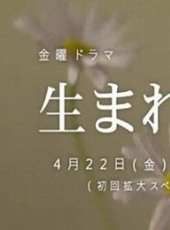 金婚線上看_全集高清完整版線上看_分集劇情介紹_好看的電視劇