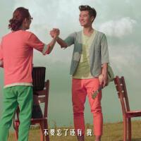 光合作用組合圖片照片_光合作用組合