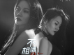 桃花三月天歌詞_譚英桃花三月天歌詞