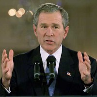 Bush圖片照片_Bush