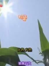 Oh My Baby最新一期線上看_全集完整版高清線上看_好看的綜藝