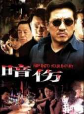 暗傷線上看_全集高清完整版線上看_分集劇情介紹_好看的電視劇