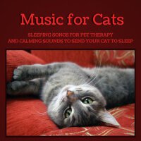 Music for Cats TA最新專輯_新專輯大全_專輯列表