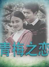 海鷗飛處線上看_高清完整版線上看_好看的電影