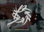 Paradox專輯_Survive Said The ProParadox最新專輯