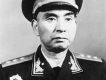 楊勇圖片照片