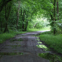 Sombre Chemin圖片照片_Sombre Chemin