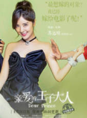 親愛的王子大人線上看_全集高清完整版線上看_分集劇情介紹_好看的電視劇