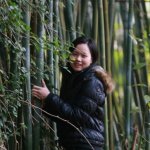 帥竹圖片照片