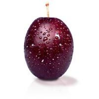 Plum圖片照片_Plum