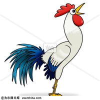 Rooster圖片照片_Rooster