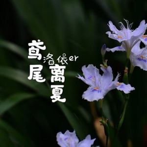 洛依er圖片照片_照片寫真