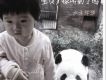 寶貝你聽到了嗎(單曲)