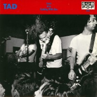 Tad圖片照片_Tad