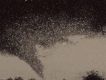 Maximilian Hecker歌曲歌詞大全_Maximilian Hecker最新歌曲歌詞