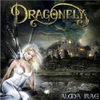 Dragonfly圖片照片_Dragonfly
