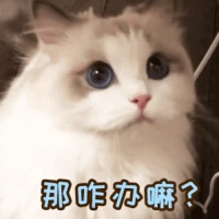 Vc歌曲歌詞大全_Vc最新歌曲歌詞